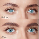 Kiss Go Brow Eyebrow Wooden Pencil Dark Brown-rbwp02(6pack)