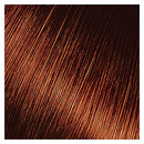 Kiss Express Semi-permanent Hair Color 3.5oz-k75(cinnamon)