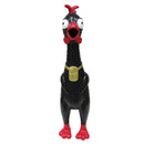 Squeezeme Chicken 12in