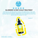 Curls - Blueberry & Mint Scalp Treatment