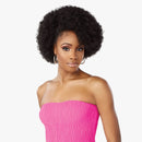 Sensationnel Synthetic Half Wig Instant Weave Drawstring Cap - Iwd 021
