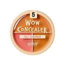 Knp Wow Concealer