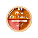Knp Wow Concealer