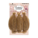 Shake N Go Organique Mastermix Braid - 4x Afro Kinky Bulk 12"