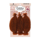 Shake N Go Organique Mastermix Braid - 4x Afro Kinky Bulk 12"