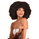 Shake N Go Organique Mastermix Braid - 4x Afro Kinky Bulk 12"