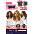 Outre Lace Front Wig - Perfect Hair Line 13x6 - Charlyn