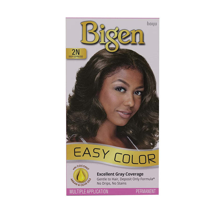 Bigen Easy Color Permanent Hair Color