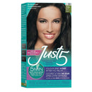 Just5 Women's 5 Minutes Permanent Hair Color