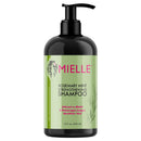 Mielle Rosemary Mint Strengrhening Shampoo 12oz